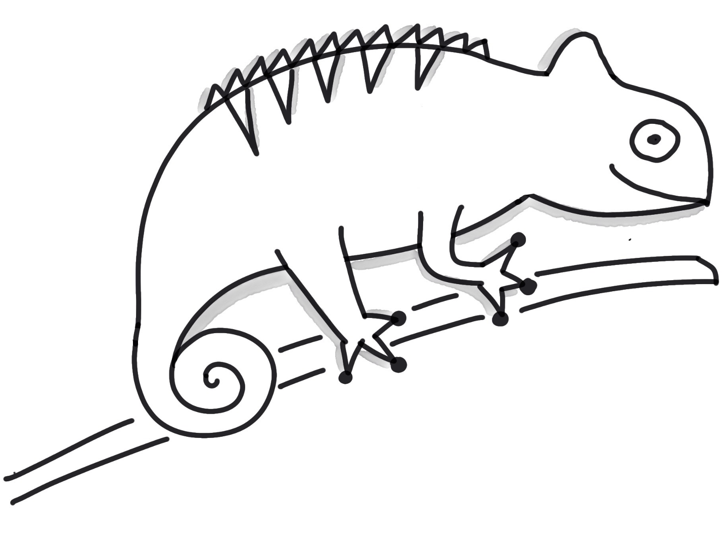 Bild zeigt ein Chamäleon, ohne Lizenz-Text oder Lizenz-Symbol.