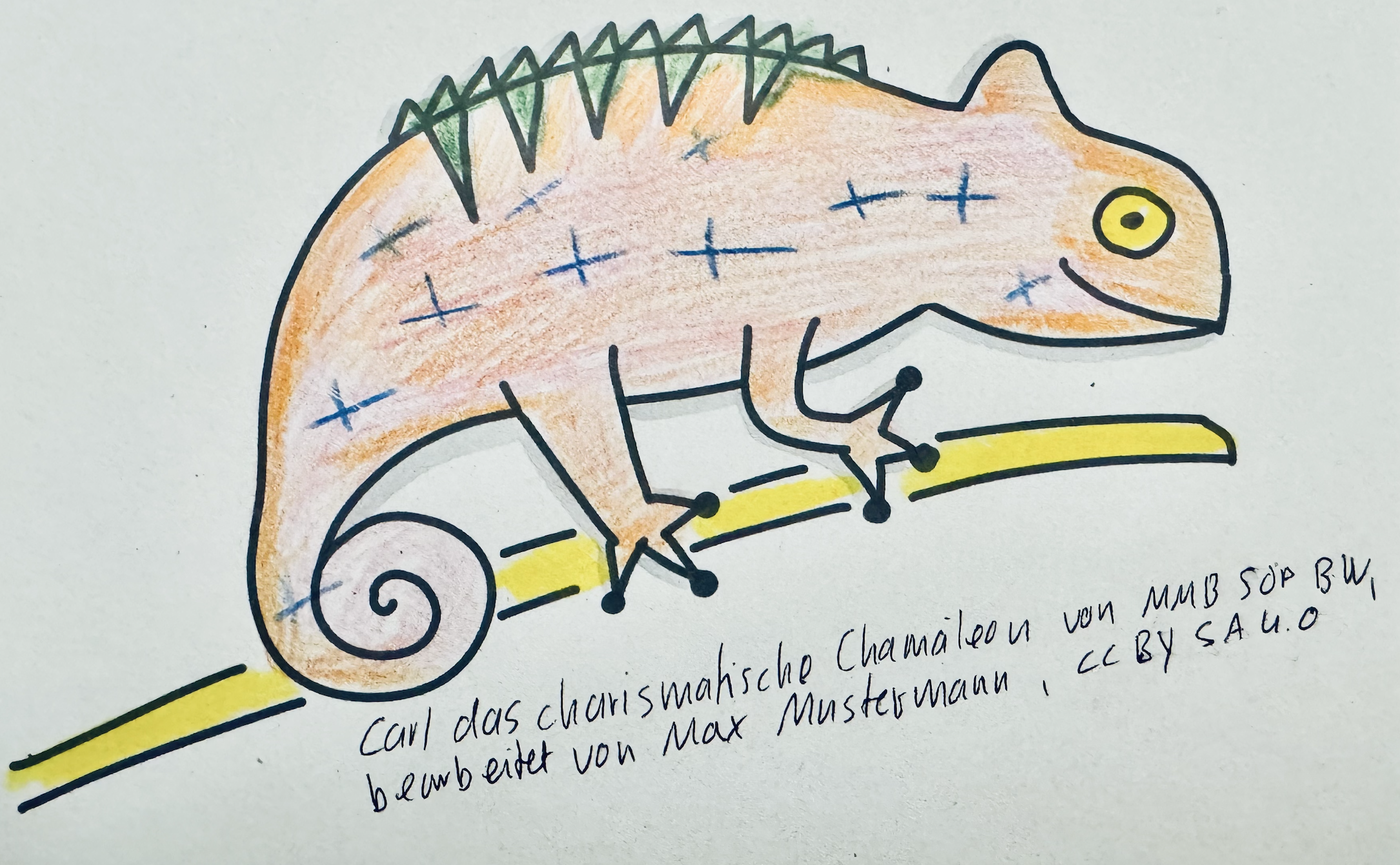 Bild zeigt das Chamäleon, dass auf einem Blatt Papier coloriert und verändert wurdel.